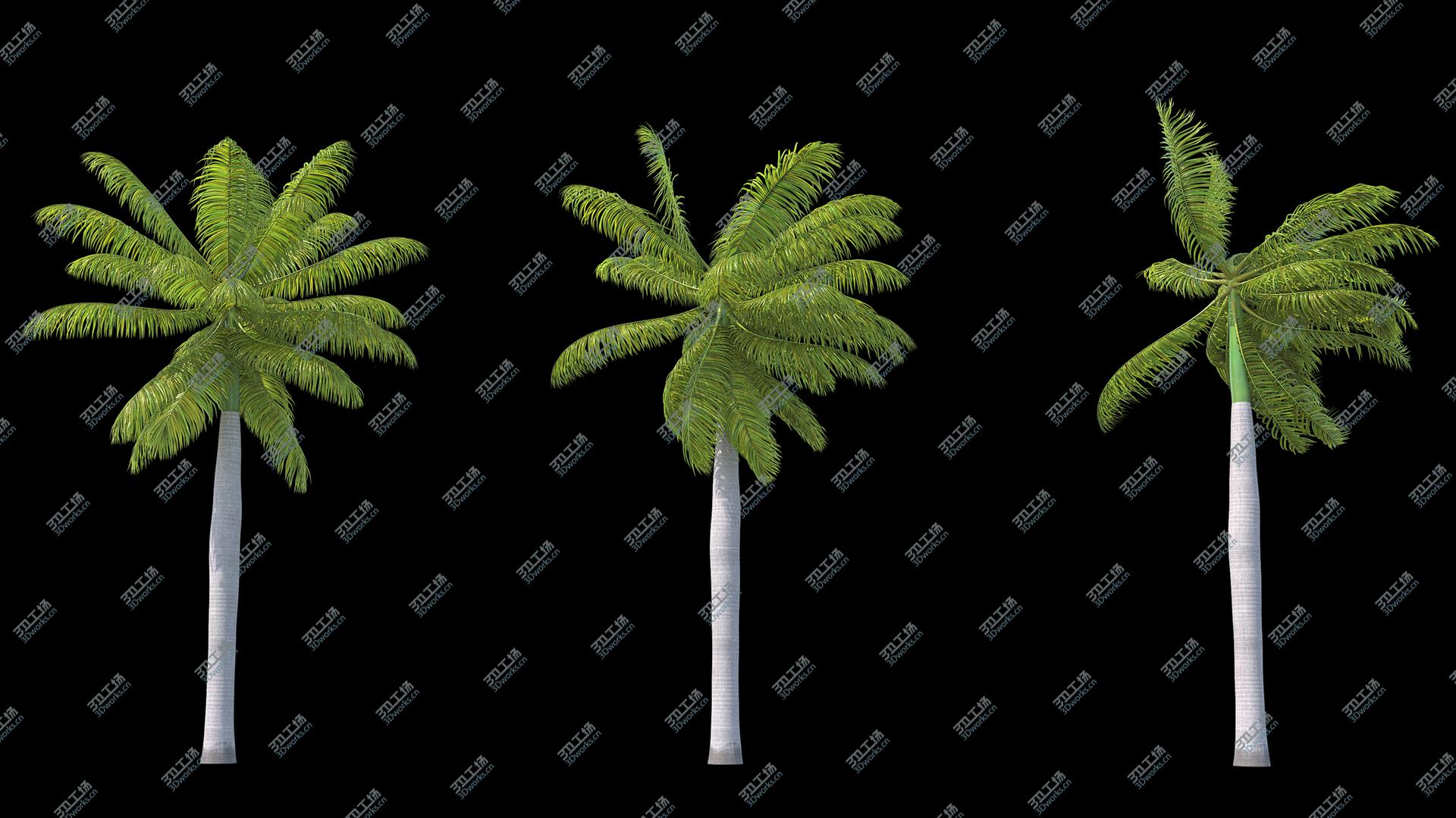 images/goods_img/2021040162/Palms Royal 03 3D/2.jpg